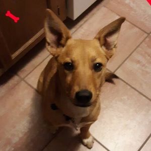 Meet your Posher, Donnie